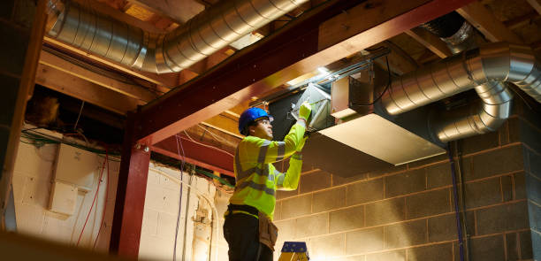 Best Home Air Vent Cleaning  in Tuscola, IL