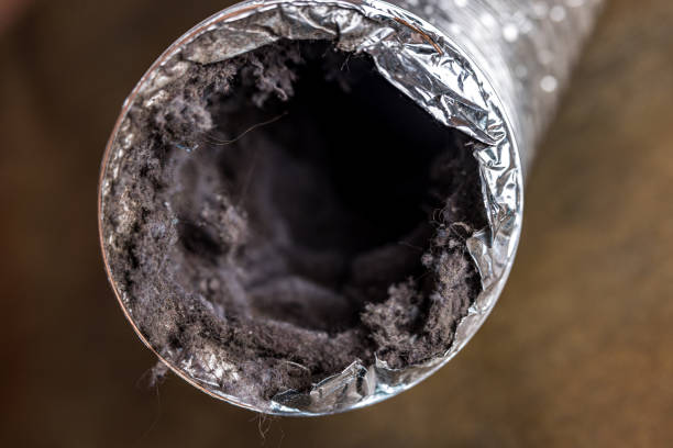 Best Air Duct Cleaning Near Me  in Tuscola, IL