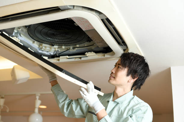 Best Professional Duct Cleaning Services  in Tuscola, IL
